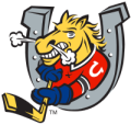 BARRIE COLTS