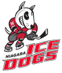 NIAGRA ICEDOGS